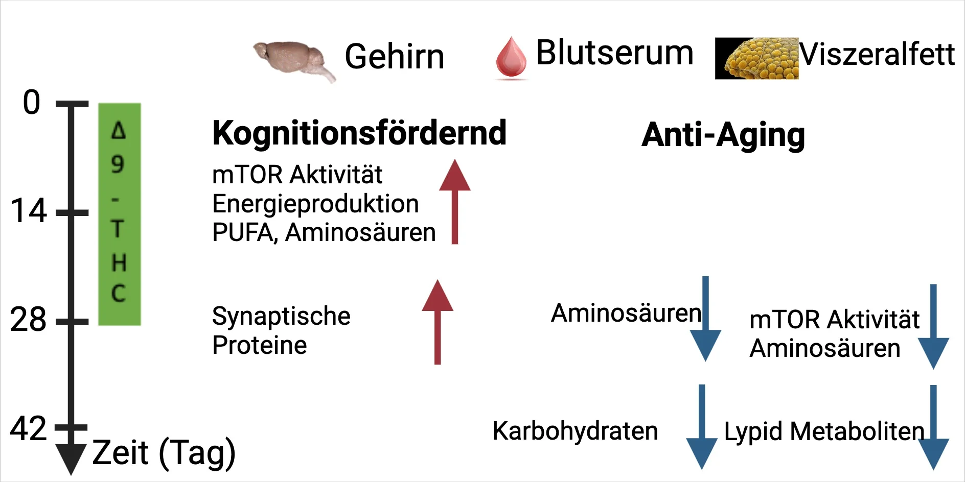 Eine Wissenschaftlerin und ein Wissenschaftler arbeiten hinter einer Glasfassade und mischen Chemikalien mit Großgeräten.